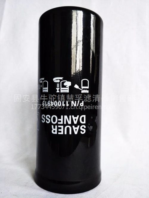【精品供應薩奧丹弗斯燃油濾芯11004919,11004919價格,圖片,配件廠家】