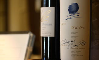 最能代表紅酒口感味道的,是什么味兒