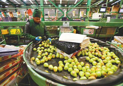 中智攜手深化務實合作