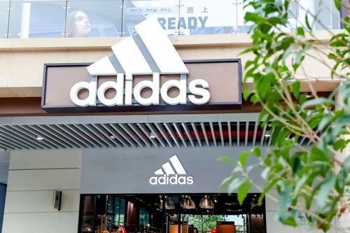 全國首家國風精品奧萊亮相 杭州百聯(lián)奧萊的創(chuàng)新與奧禹森模式解析