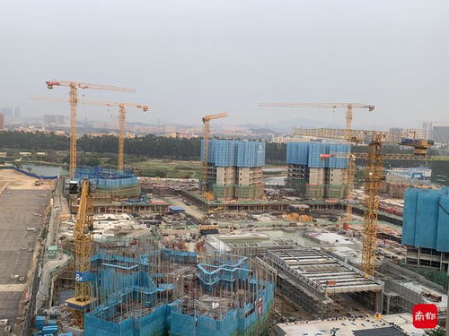 扛行李住工廠，搬電腦拷資料 直擊東莞人迎戰(zhàn)奧密克戎